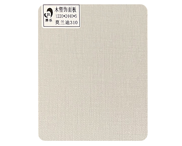 莫兰迪310